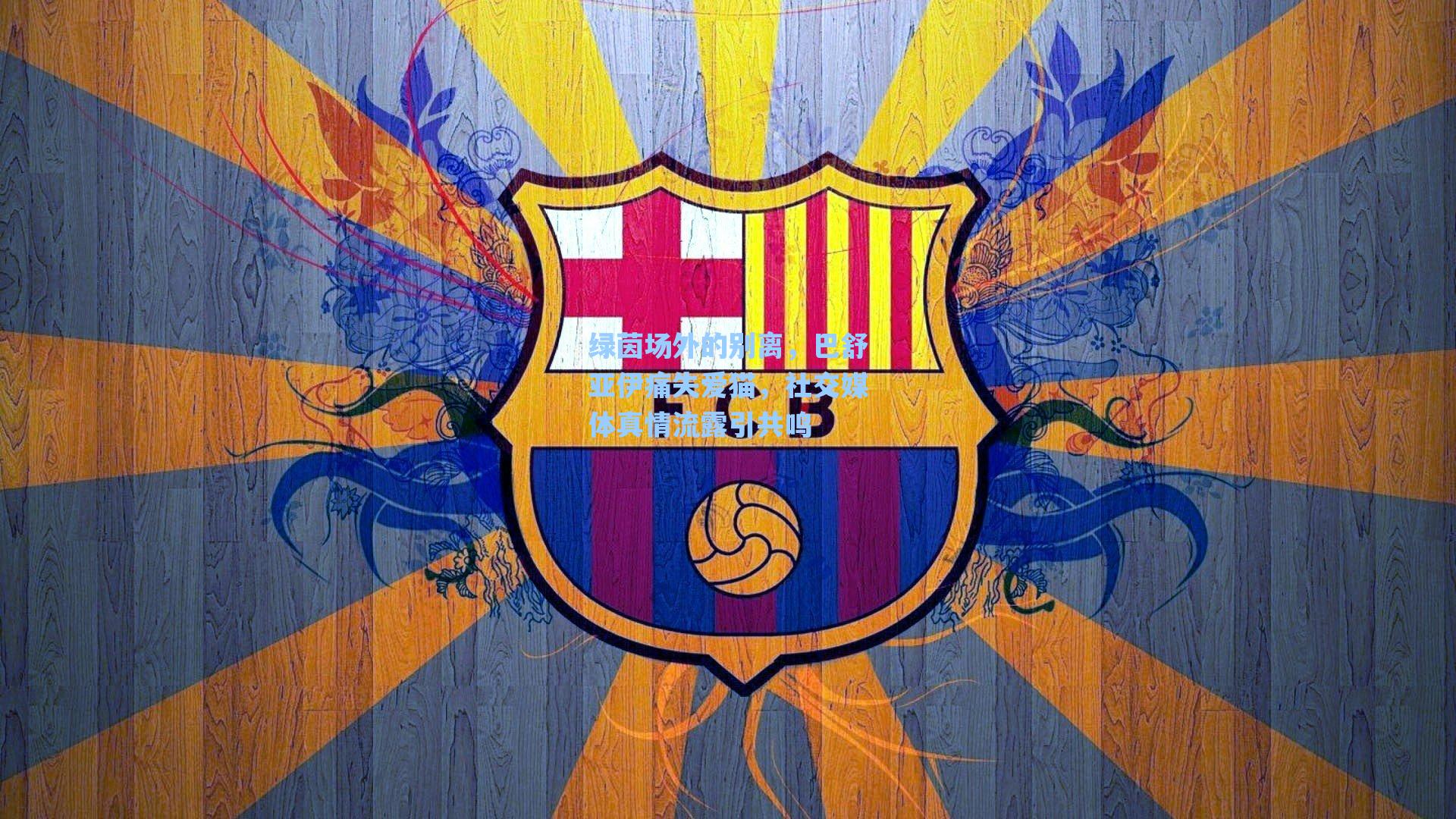 绿茵场外的别离，巴舒亚伊痛失爱猫，社交媒体真情流露引共鸣